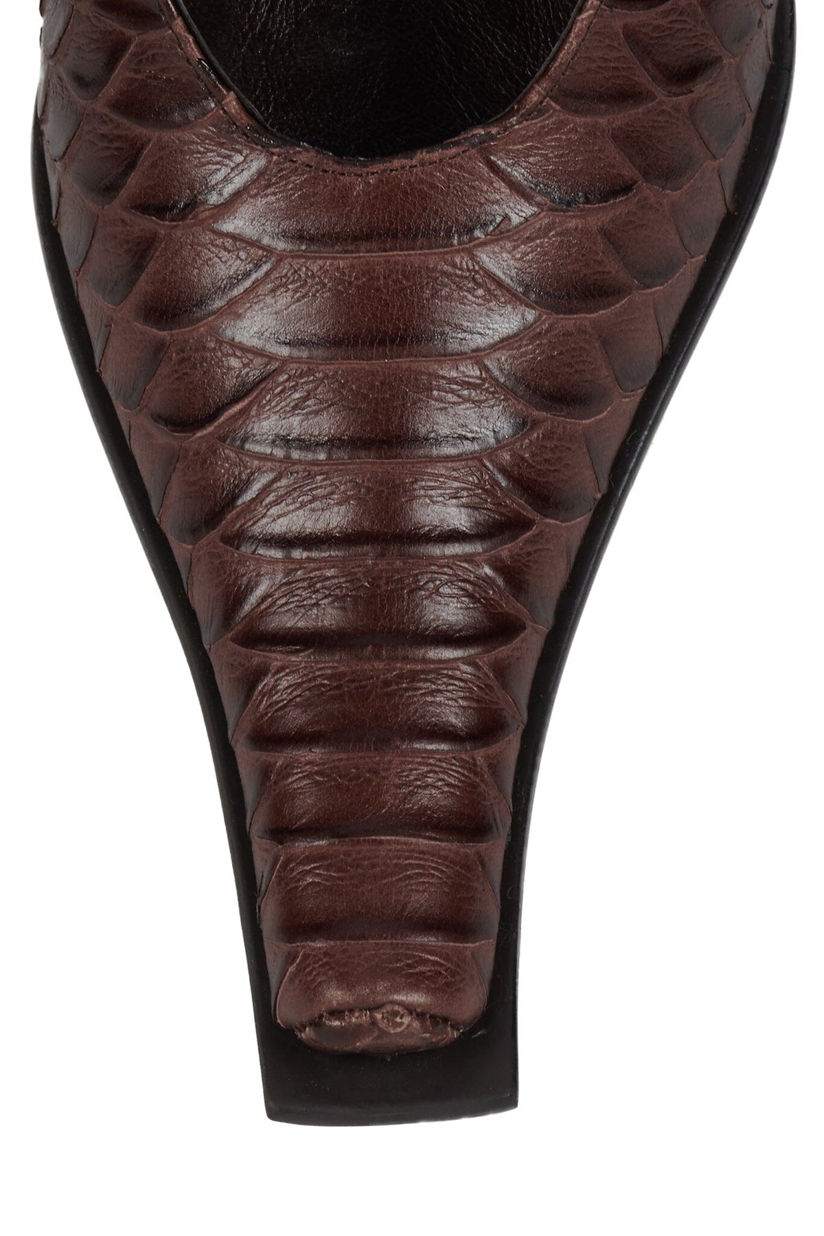 PARALLAX Heeled Mule - Brown Snake | Jeffrey Campbell